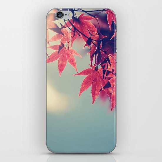 Maple Light iPhone & iPod Skin