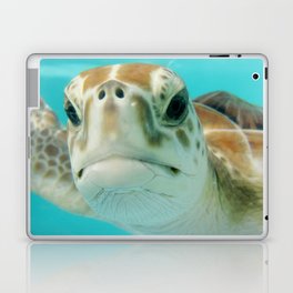 Mexico Photography - Sea Turtle In The Beautiful Water Laptop Skin
