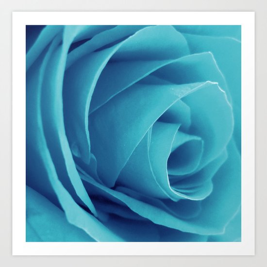 Cyan Rose Art Print