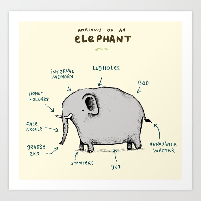 Anatomy of an Elephant Art Print