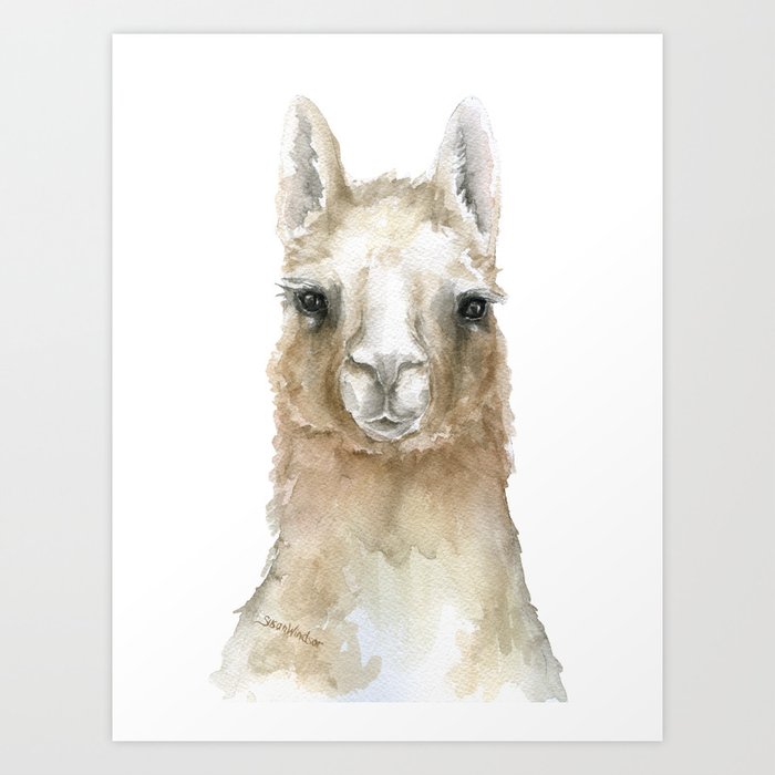 Llama Watercolor Painting Art Print