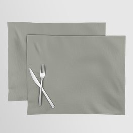 Grayish Green Solid Color 2022 Color of the Year Sherwin Williams Evergreen Fog SW 9130 Placemat