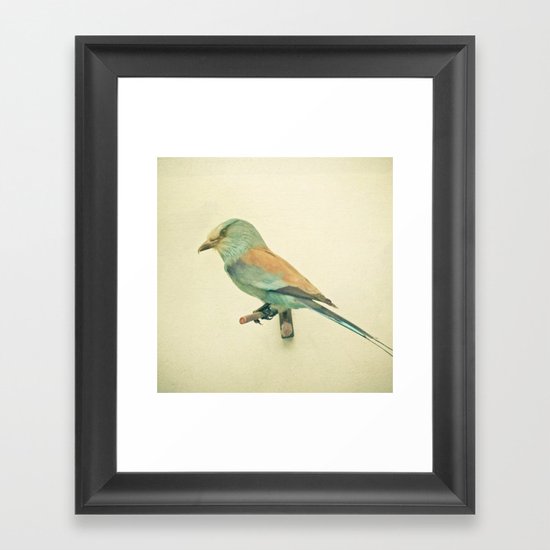 Bird Study #2 Framed Art Print