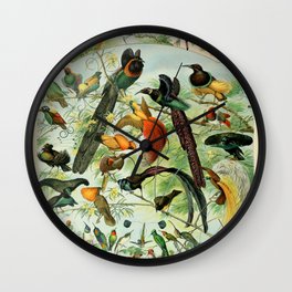 Adolphe Millot "Oiseaux" Tropical Birds Nouveau Larousse 1905 Wall Clock