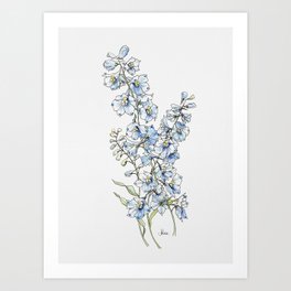 Blue Delphinium Flowers Art Print