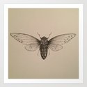 Cicada Drawing Art Print by Redmonks | Society6