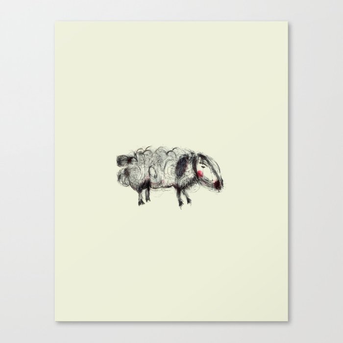 Sheep Canvas Print