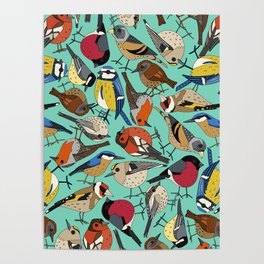 winter garden birds turquoise Poster
