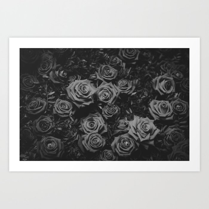 The Roses (Black and White) Art Print