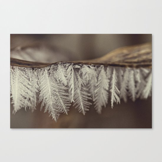 frost Canvas Print