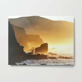 Embrasement Metal Print | Ocean, Bird, Sunset, Photo, Beach 