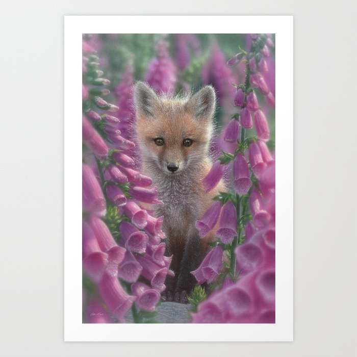 Red Fox Pup - Foxgloves Art Print