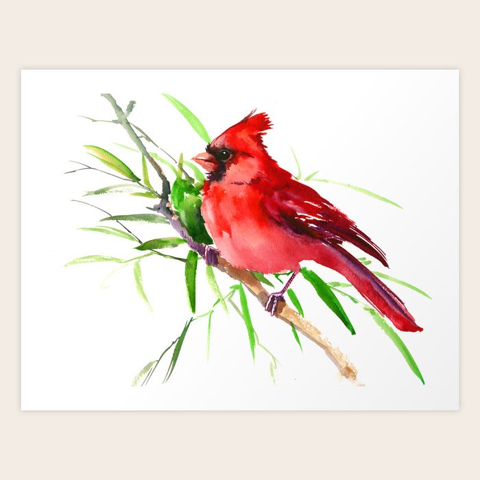Cardinal Bird Art Print by SurenArt | Society6