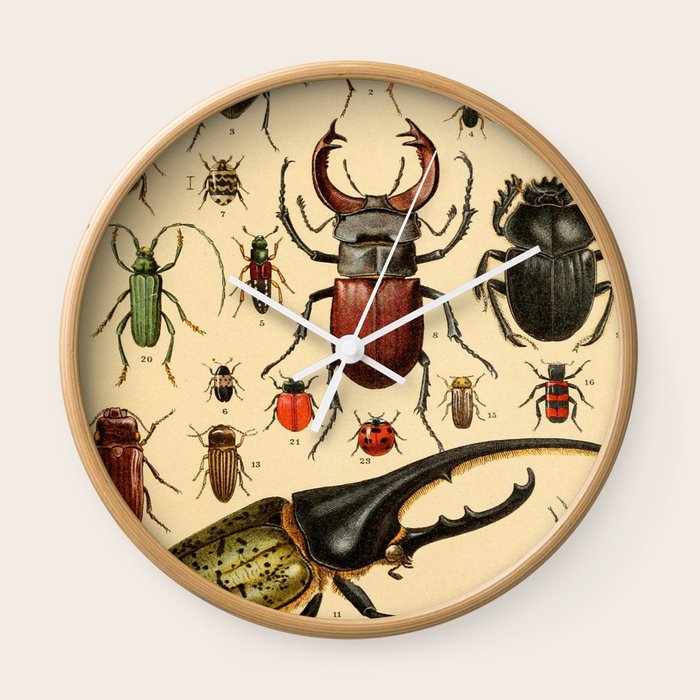 Popular History Of Animals Beetles Vintage Scientific Ilration Educational Diagrams Wall Clock By Artofscience