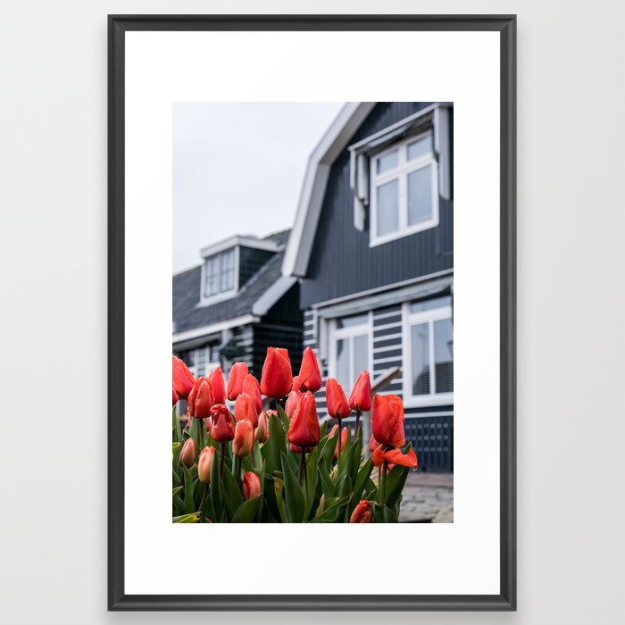Tulips volendam Framed Art Print