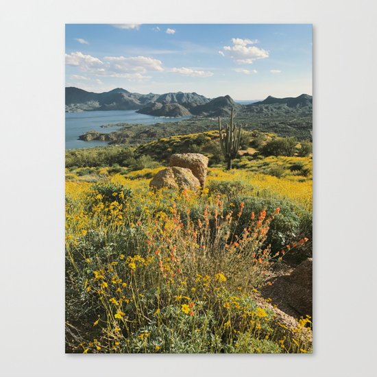 Arizona Spring Mountain Bloom Canvas Print
