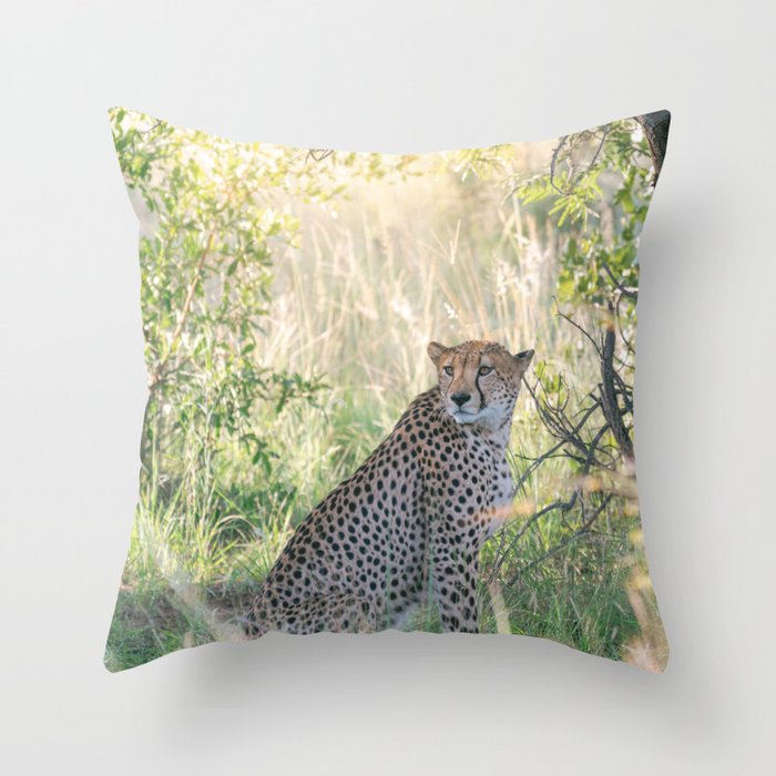 Cheetah wildlife | Travel Photography | South Africa Throw Pillow