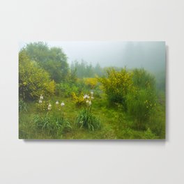 Green forest after raining Metal Print