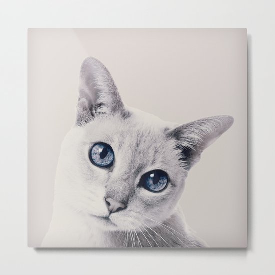 CAT 3 Metal Print