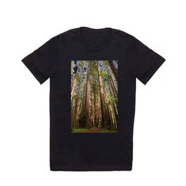 Redwood Forest Photography, Northern California Humboldt County Art, Magical Enchanted Woodland, Landscape Home Decor, Coastal Redwoods T Shirt
