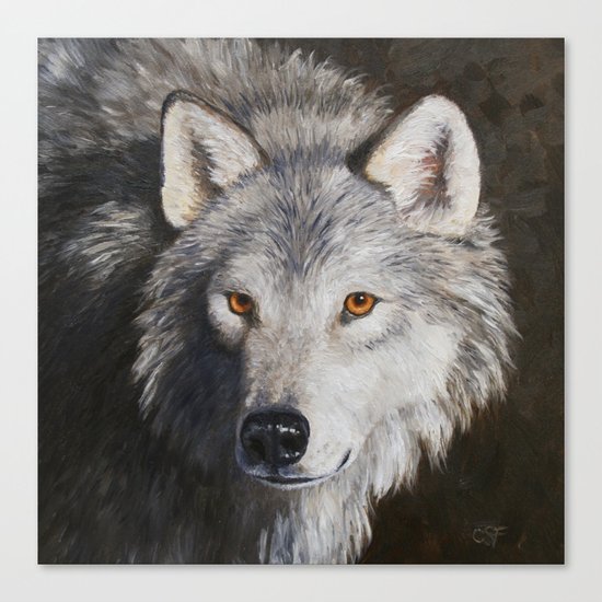 Gray Wolf Face Canvas Print