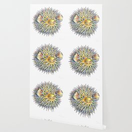 Puffer Fish Wallpaper For Any Decor Style Society6