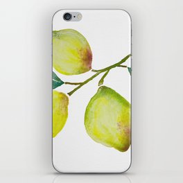 The Lemon branch iPhone Skin