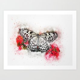 Butterfly  Watercolor art Art Print