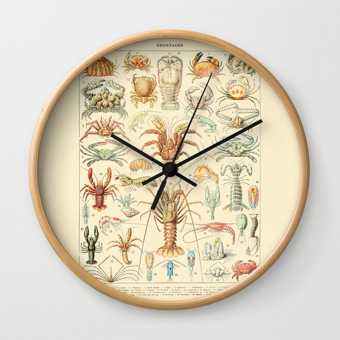 Sea Creatures // Crustaces by Adolphe Millot 19th Century Science Textbook Diagram Artwork Wall Clock