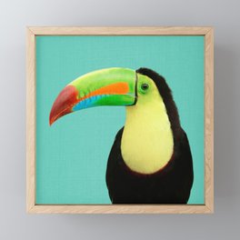 Toucan Bird - Blue Framed Mini Art Print