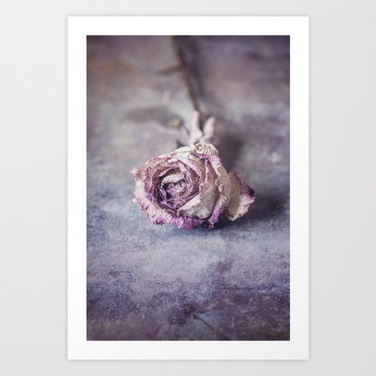 Dried Rose Art Print