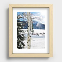 White Birch Tree in Snow Recessed Framed Print