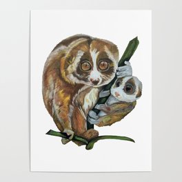 Slow Loris with Baby Poster