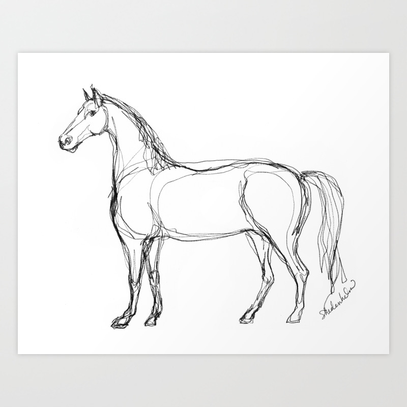 Horse Continuous Line Drawing Art Print By Kendrashedenhelm Society6