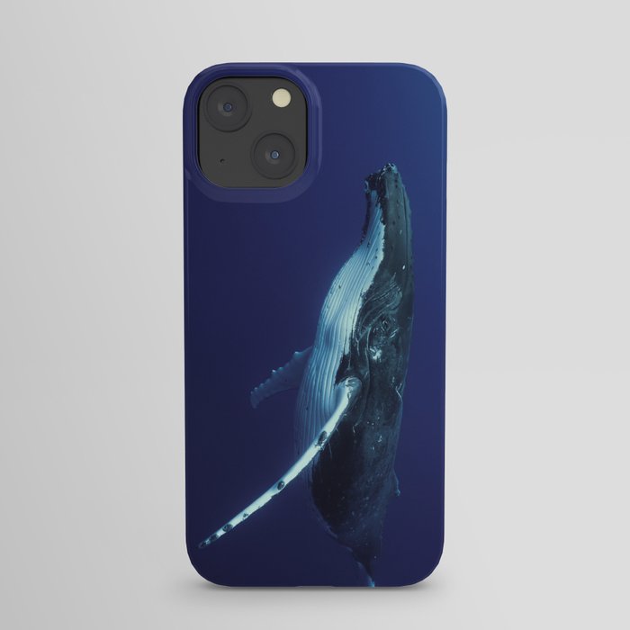 whale iPhone Case
