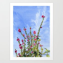 Hollyhock Art Print