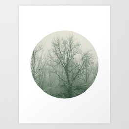 Green and White Landscape, Tree Photography No. 1 Art Print