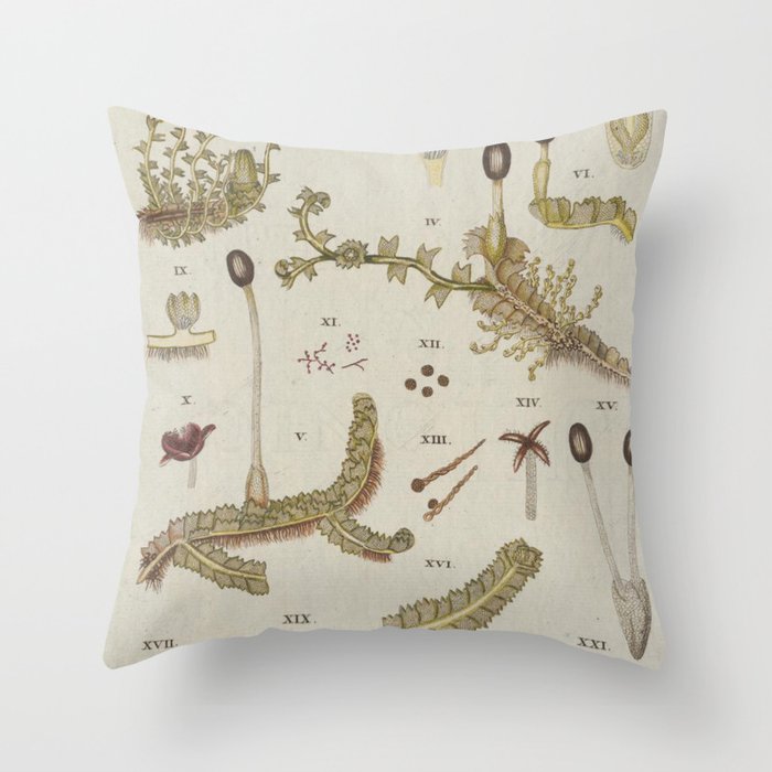 Moss And Hornwort Botany Throw Pillow