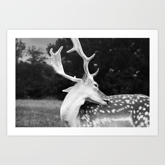 Leave Me Alone... Art Print