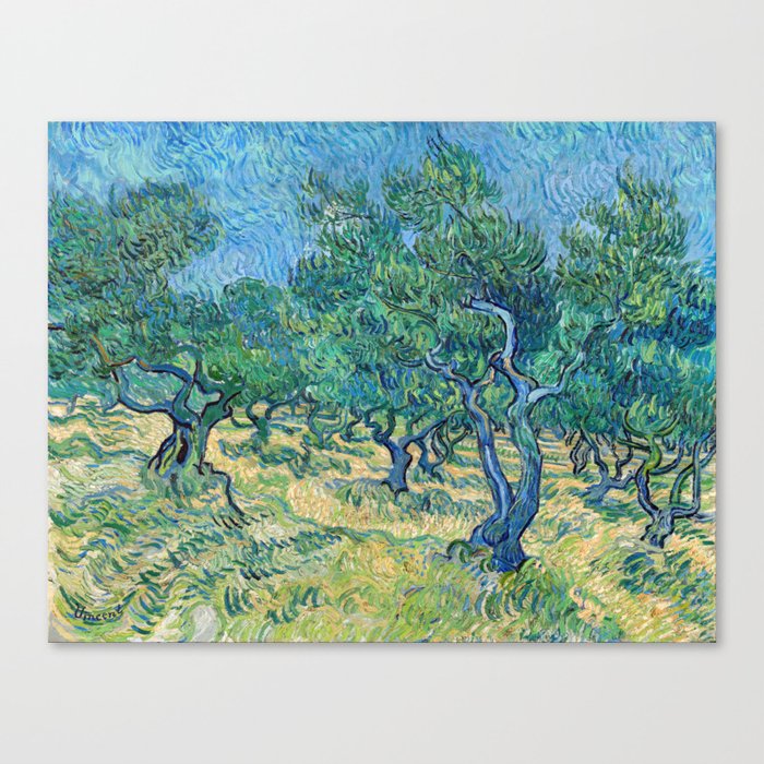 Vincent van Gogh - Olive Grove Canvas Print