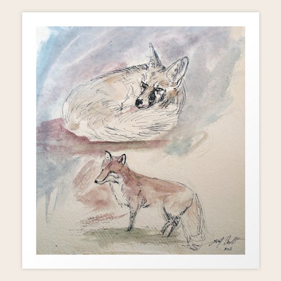 Fox Sketch #1 Art Print