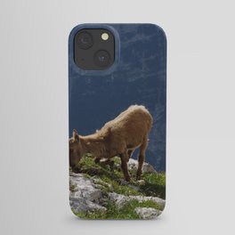 Psst, lean down and observe... iPhone Case