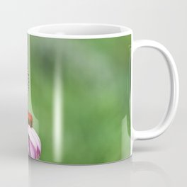 Monarch Butterfly & Echinacea  Coffee Mug