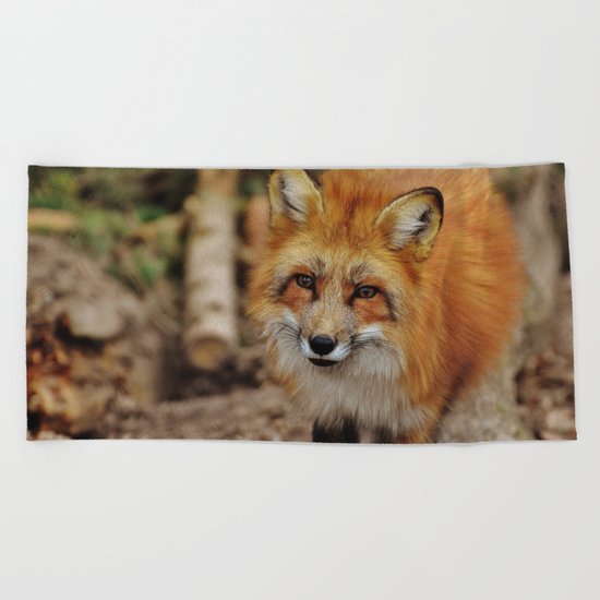 Fox Beach Towel