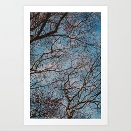 Tree #10 Art Print