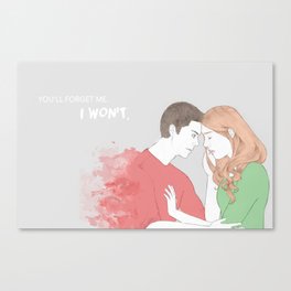 I won't. Canvas Print