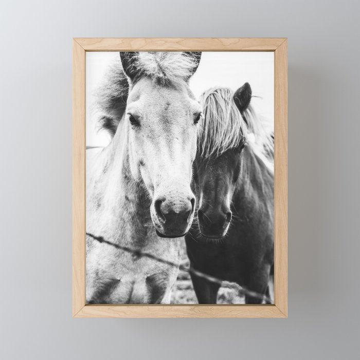 Horses Black and White Framed Mini Art Print