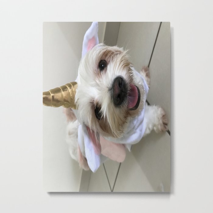 What do you mean I'm not a unicorn? Metal Print