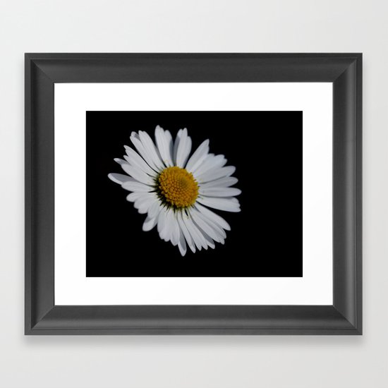 I like daisies Framed Art Print
