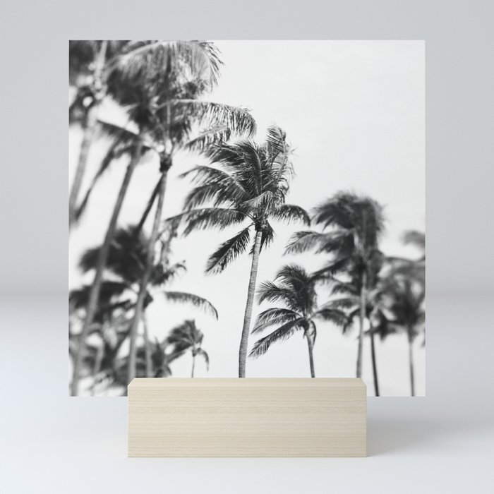 Easy Breezy - Black and White Photograph Mini Art Print